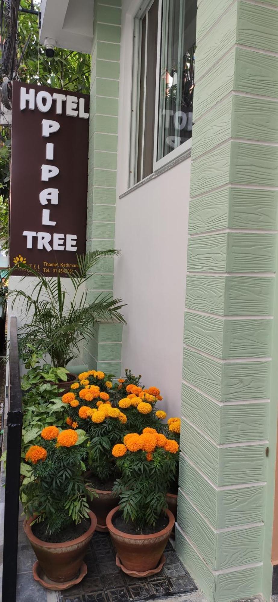 Hotel Pipal Tree Kathmandu Exterior photo